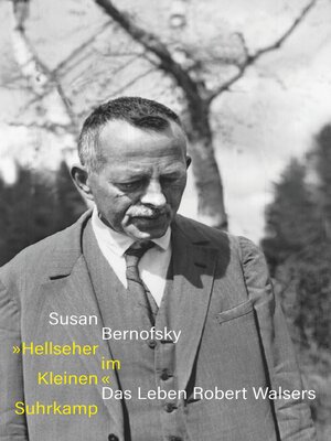 cover image of »Hellseher im Kleinen«